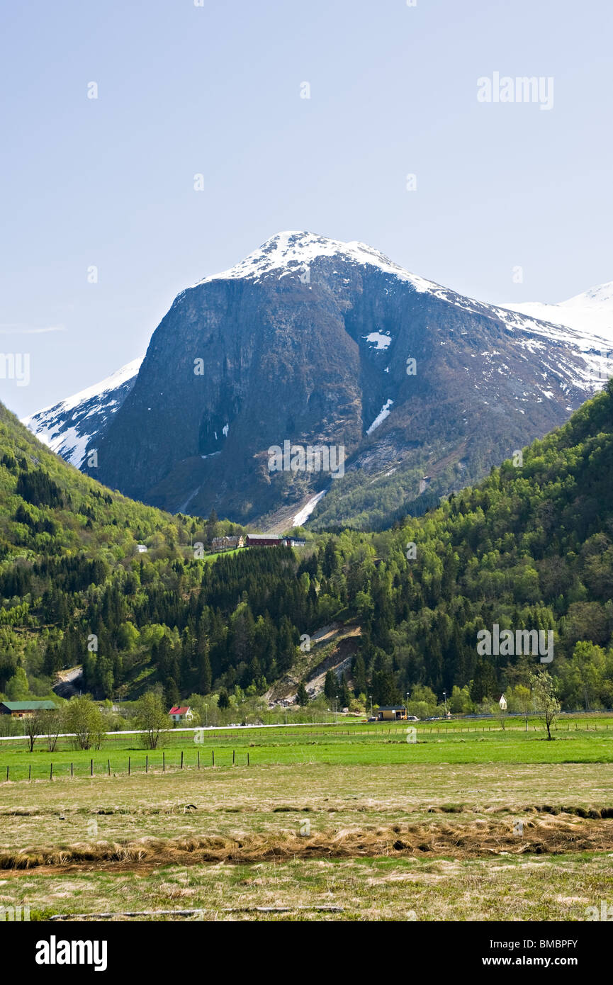 Fiordo En Noruega Con Los árboles De Pino En El Primero Plano - Imágenes De  Foto de archivo - Imagen de fotos, ciudad: 51921160