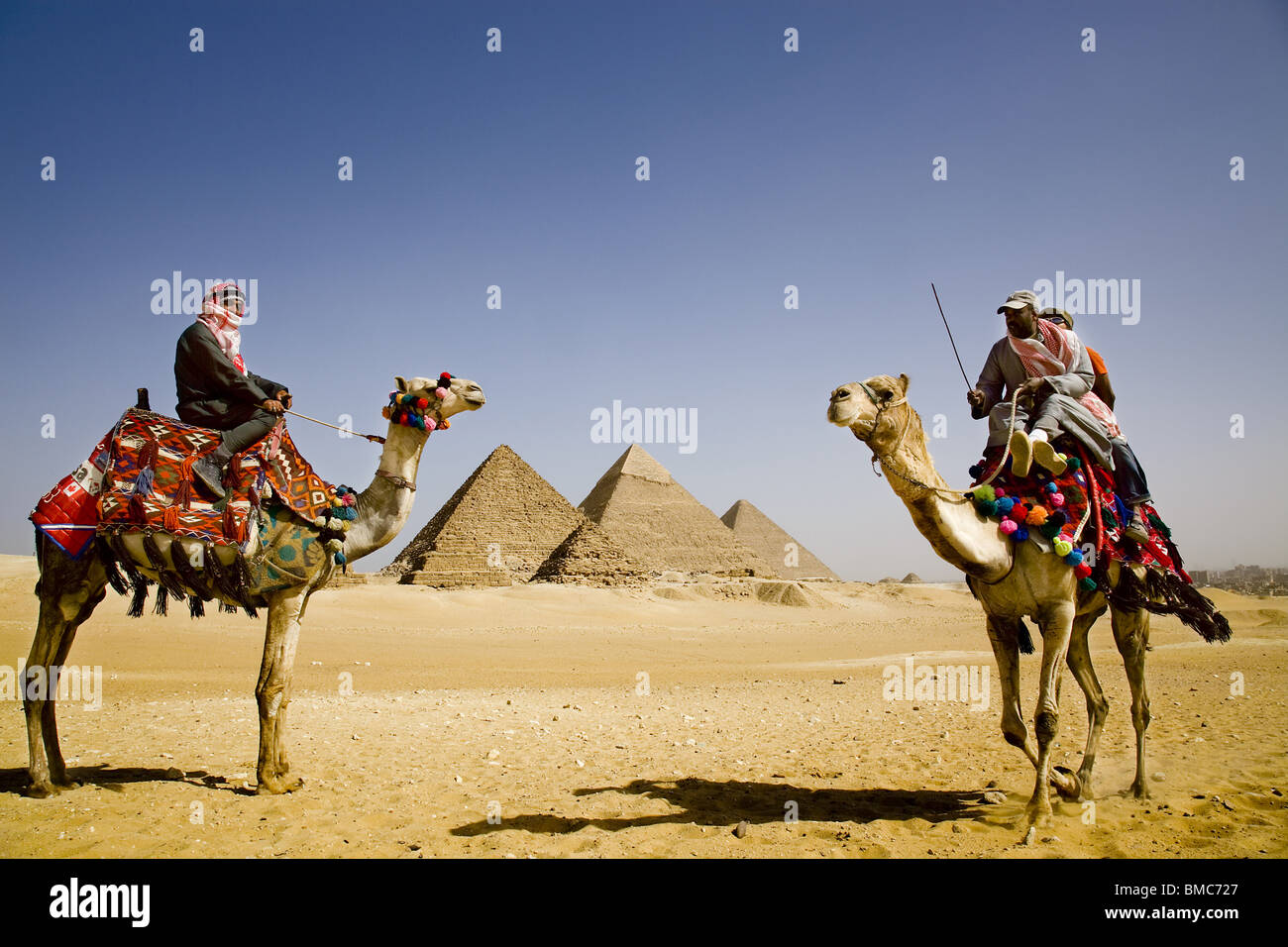 Los jinetes de camellos alquilar camellos para turistas alrededor de las pirámides de Gizeh. Egipto Foto de stock