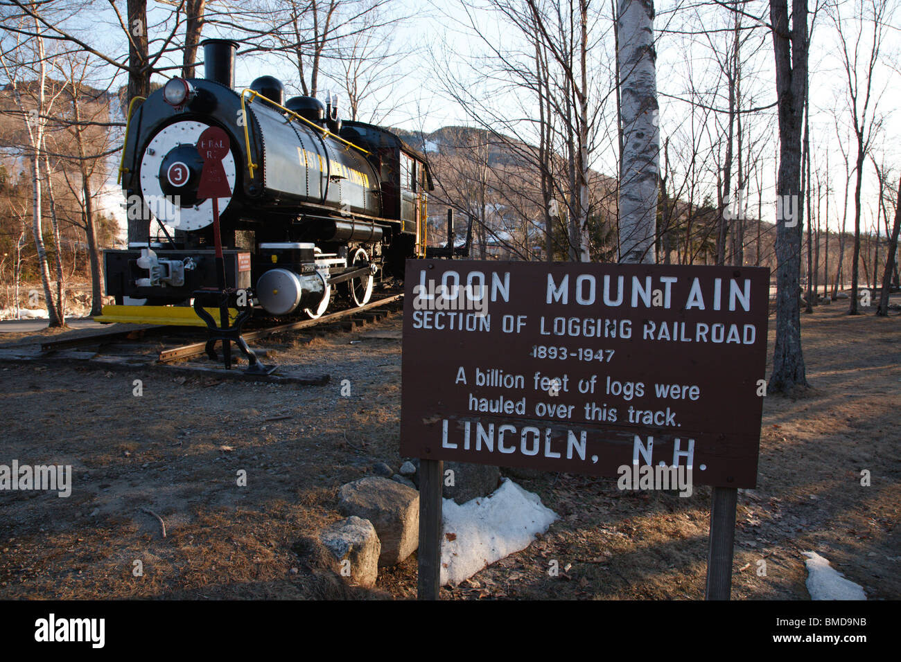 Rama oriental & Lincoln Logging Railroad en Lincoln, Nueva Hampshire, EE.UU. Foto de stock