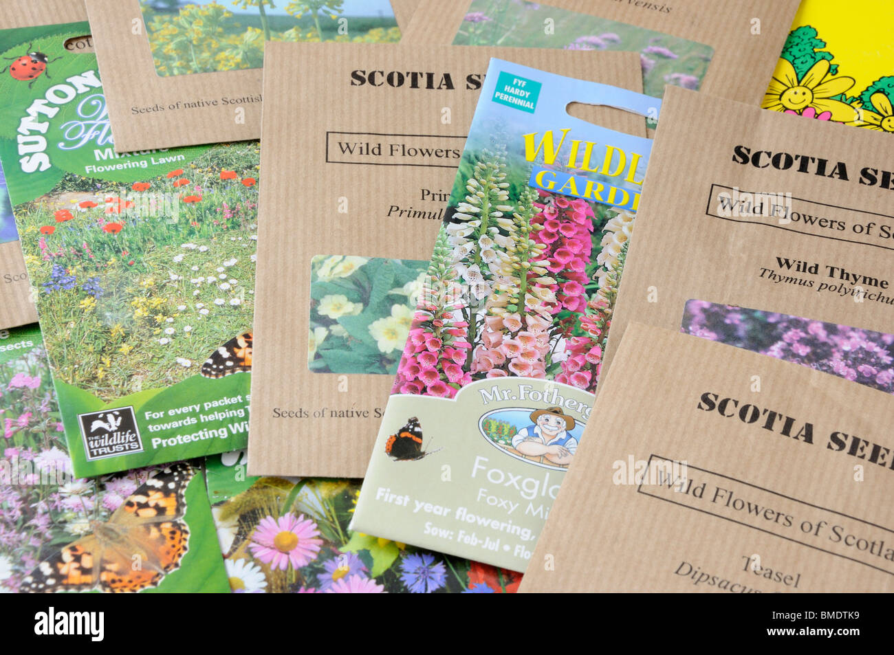 Paquetes de semillas de flores silvestres Foto de stock
