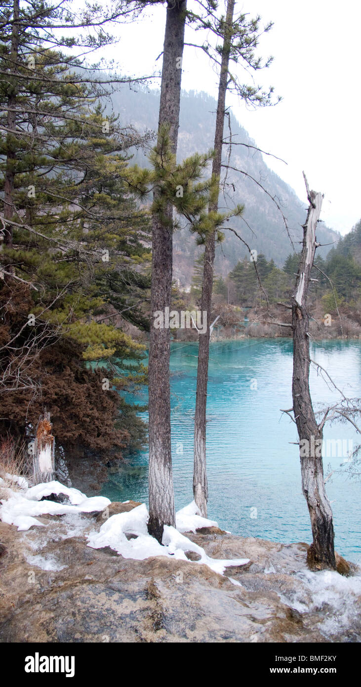 Glaciar Dagu zona escénica, Sichuan Dagu Reserva Natural, Aba Prefectura Autónoma Tibetana y Qiang, provincia de Sichuan, China Foto de stock