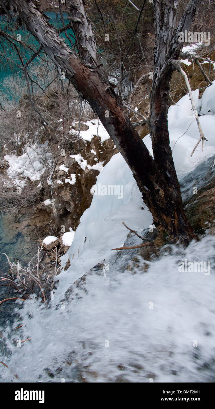 Glaciar Dagu zona escénica, Sichuan Dagu Reserva Natural, Aba Prefectura Autónoma Tibetana y Qiang, Sichuan, China Foto de stock