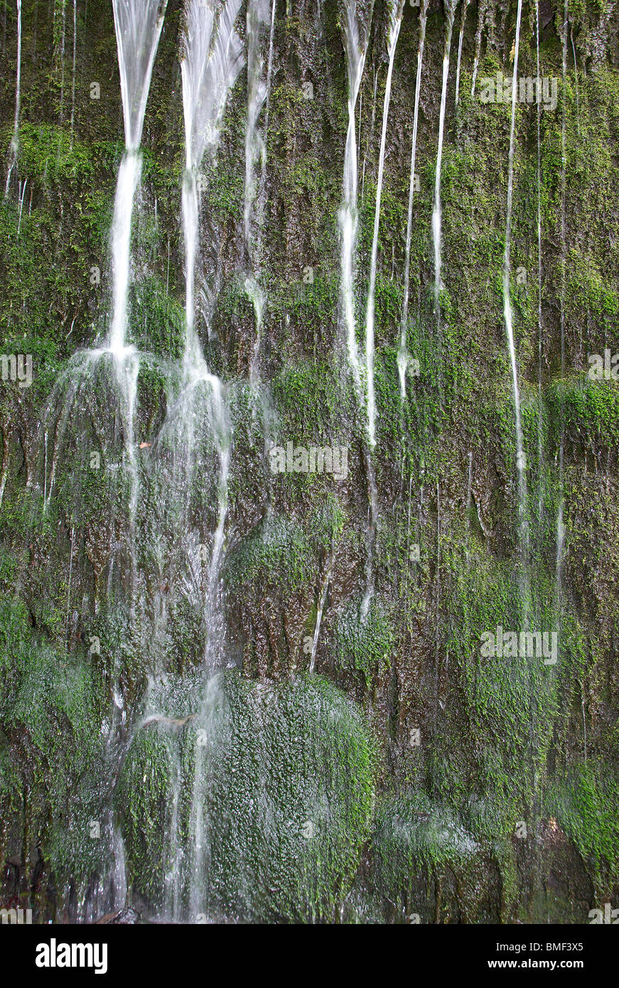 Agua de manantial en cascada hacia un muro cubierto de musgo Fotografía de  stock - Alamy