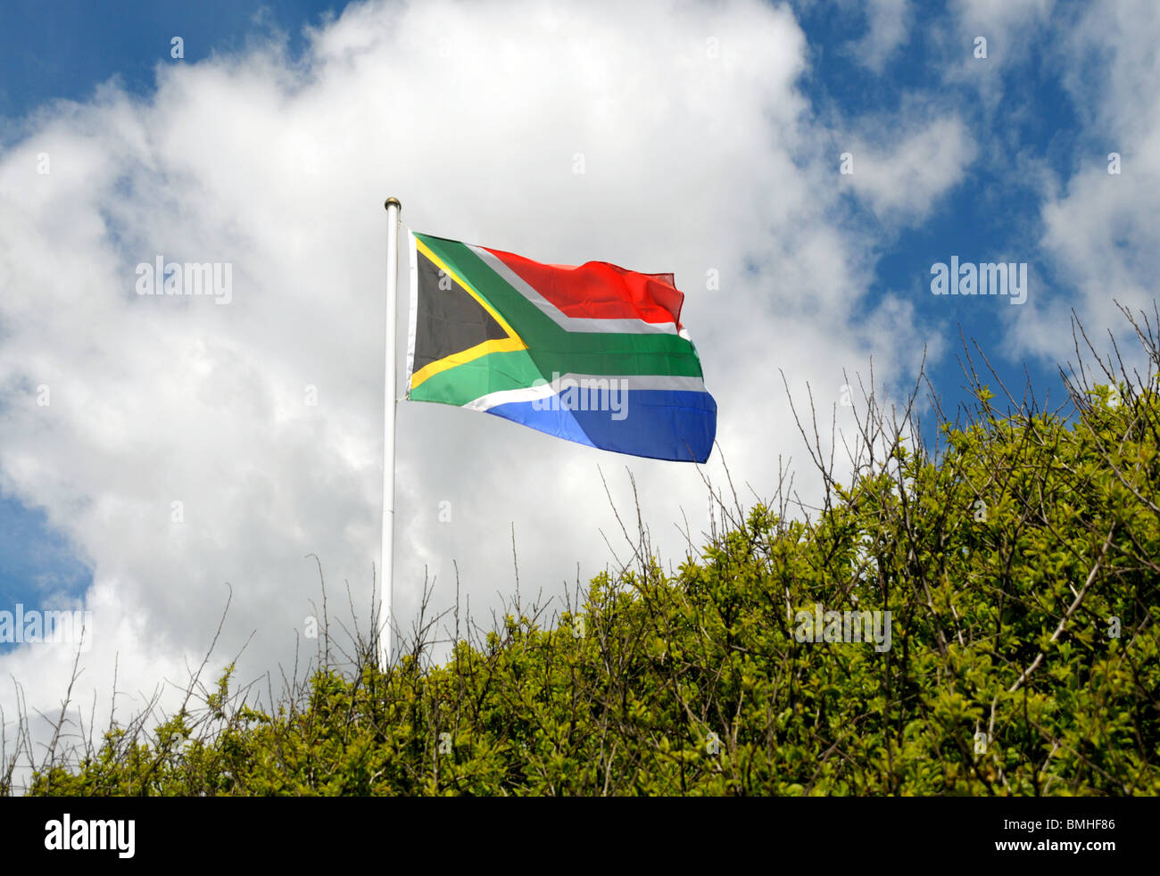 Un sudafricano bandera ondea en un mástil detrás de un seto de jardín  Fotografía de stock - Alamy