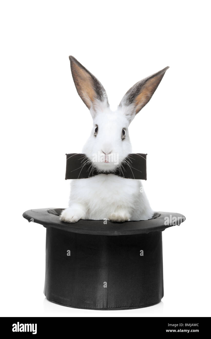 Disparidad Tanga estrecha Gastos Una vista de un conejo con pajarita en un sombrero Fotografía de stock -  Alamy