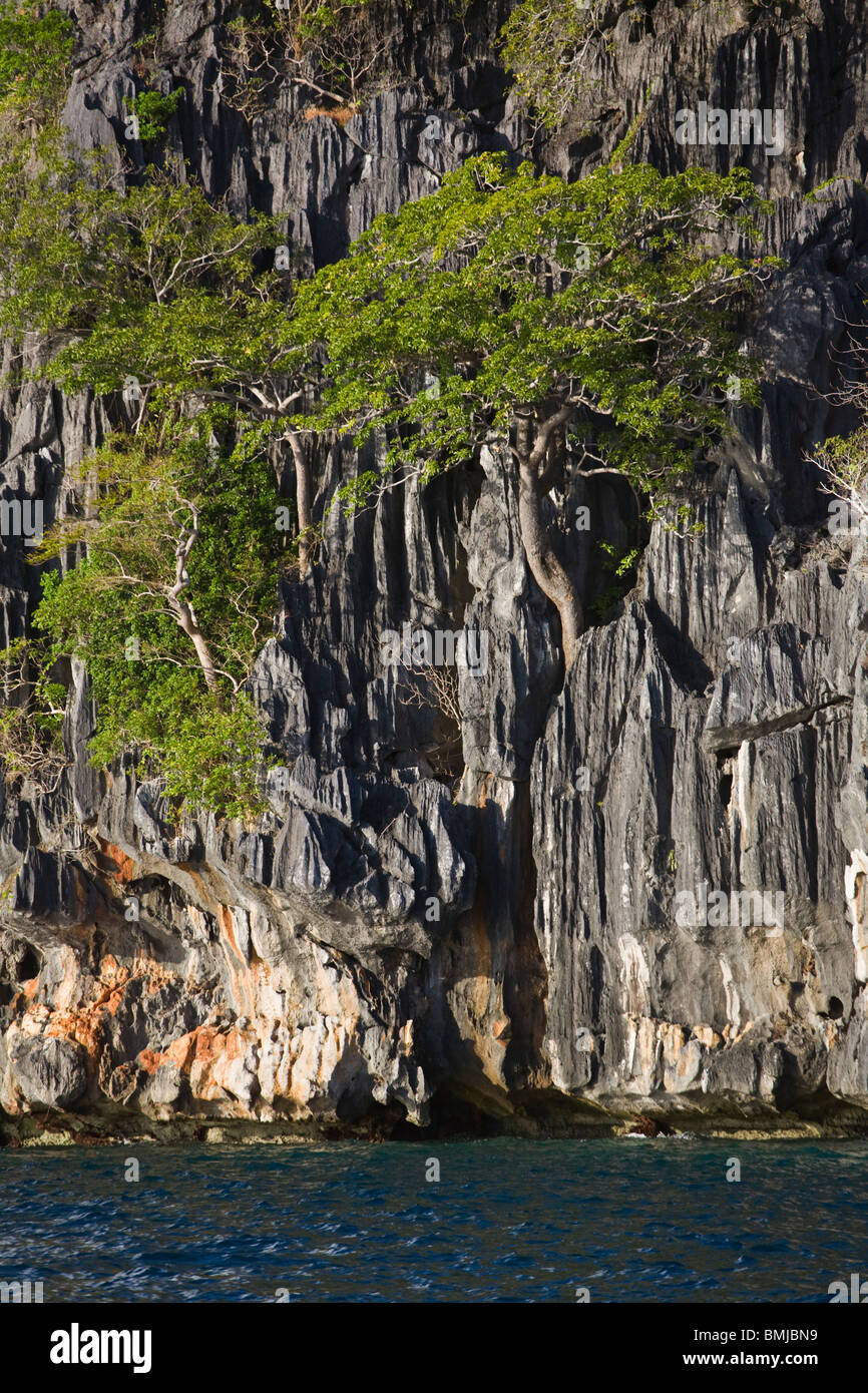 Acantilados de piedra caliza en una pequeña isla cerca de la isla de BUSUANGA EN EL GRUPO CALAMIAN - Filipinas Foto de stock