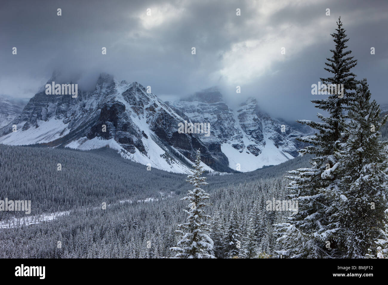 Una nieve fresca en el Valle de los Diez Picos, Parque Nacional de Banff, Alberta, Canadá Foto de stock