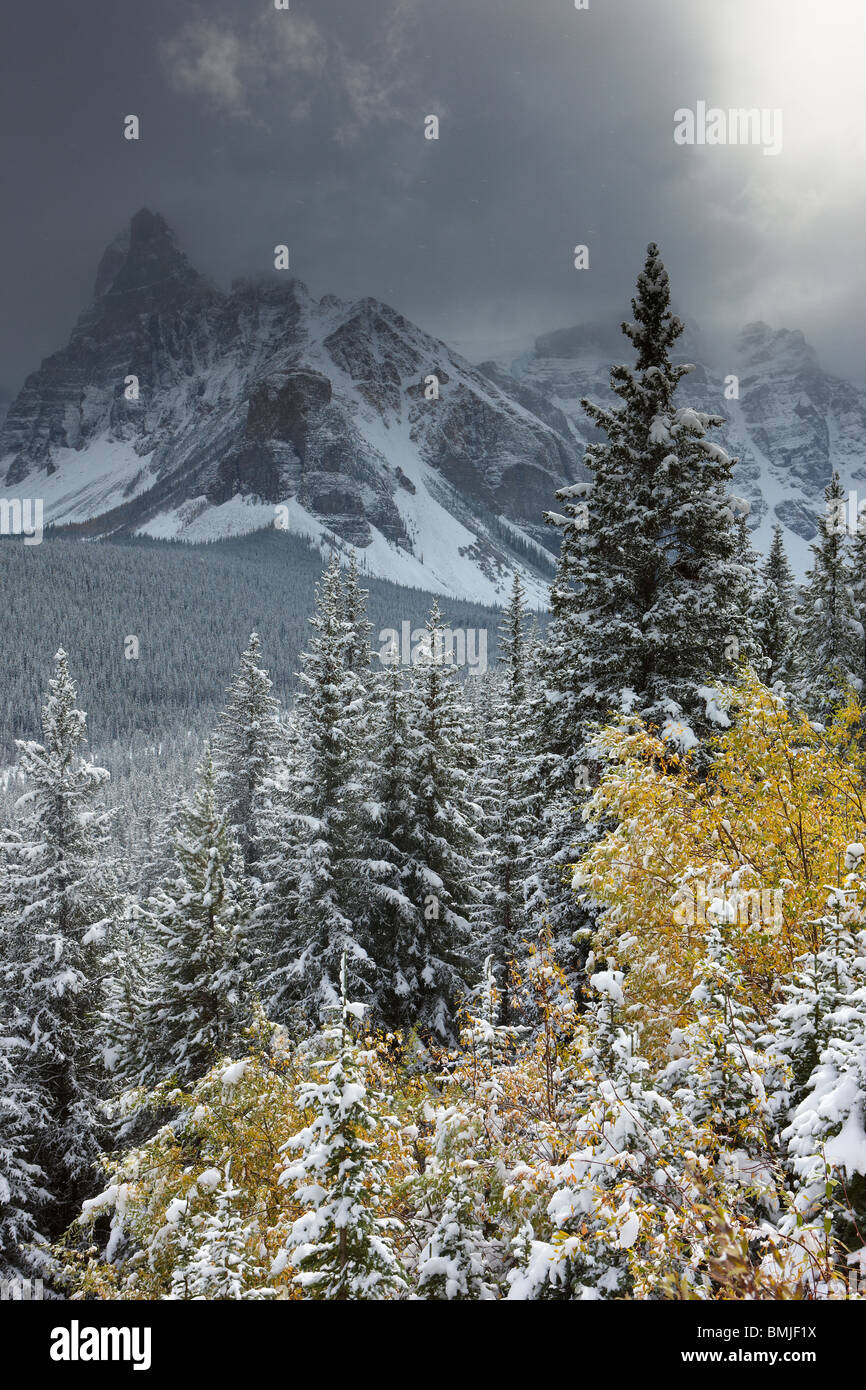 Nevadas tempranas en el Valle de los Diez Picos, Parque Nacional de Banff, Alberta, Canadá Foto de stock