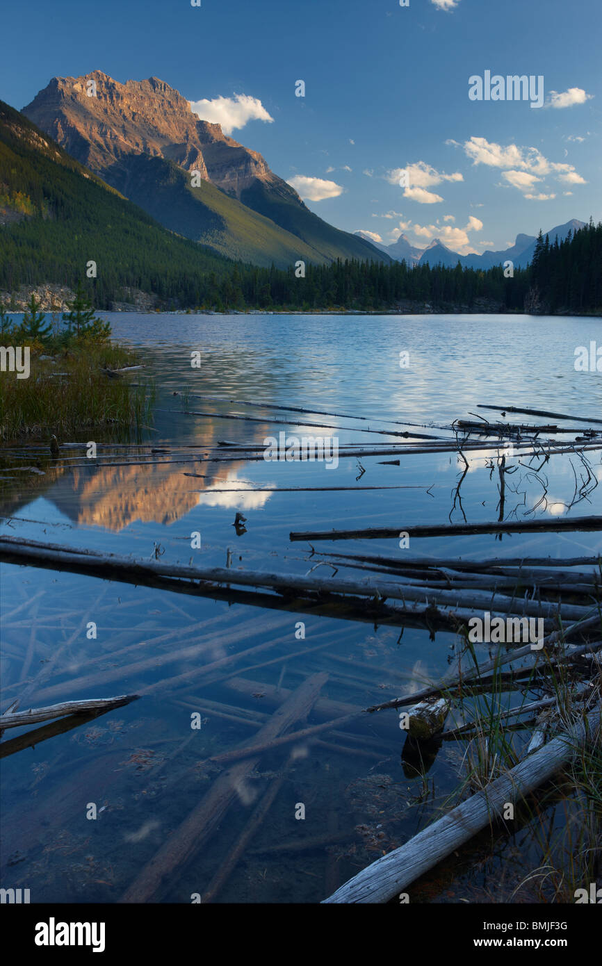 El Horseshoe Lake, el Parque Nacional de Jasper, Alberta, Canadá Foto de stock