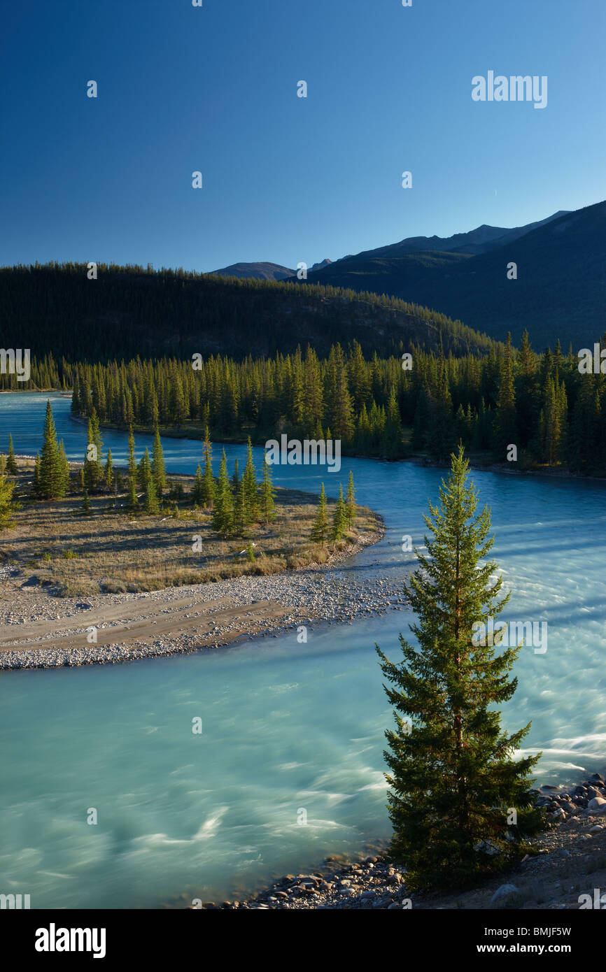 El río Athabasca nr Jasper, Parque Nacional Jasper, Alberta, Canadá Foto de stock