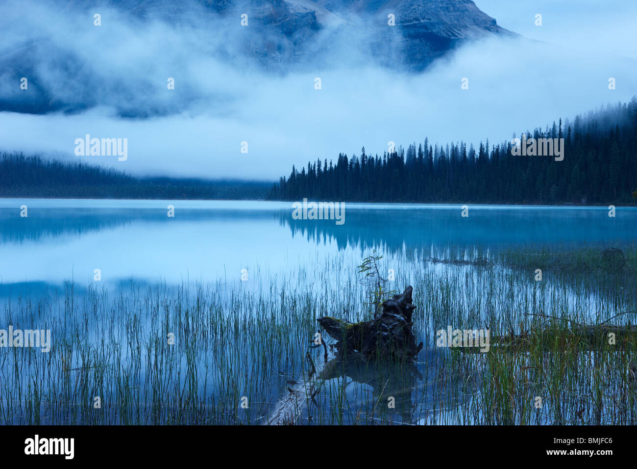 Lago Esmeralda al amanecer, el Parque Nacional Yoho, British Columbia, Canadá Foto de stock