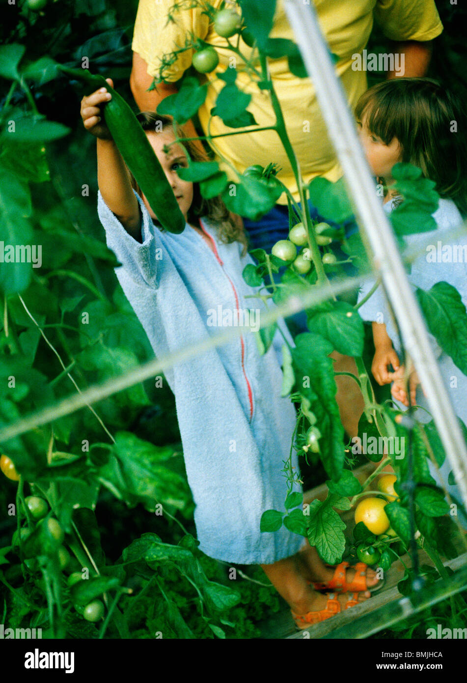 Niños y una persona en un invernadero, Suecia. Foto de stock