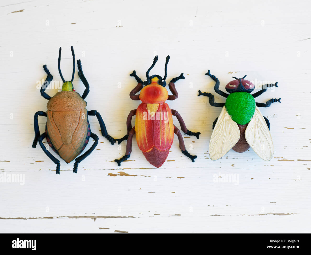Escandinavia, Suecia, tres insectos sobre fondo blanco, close-up Foto de stock
