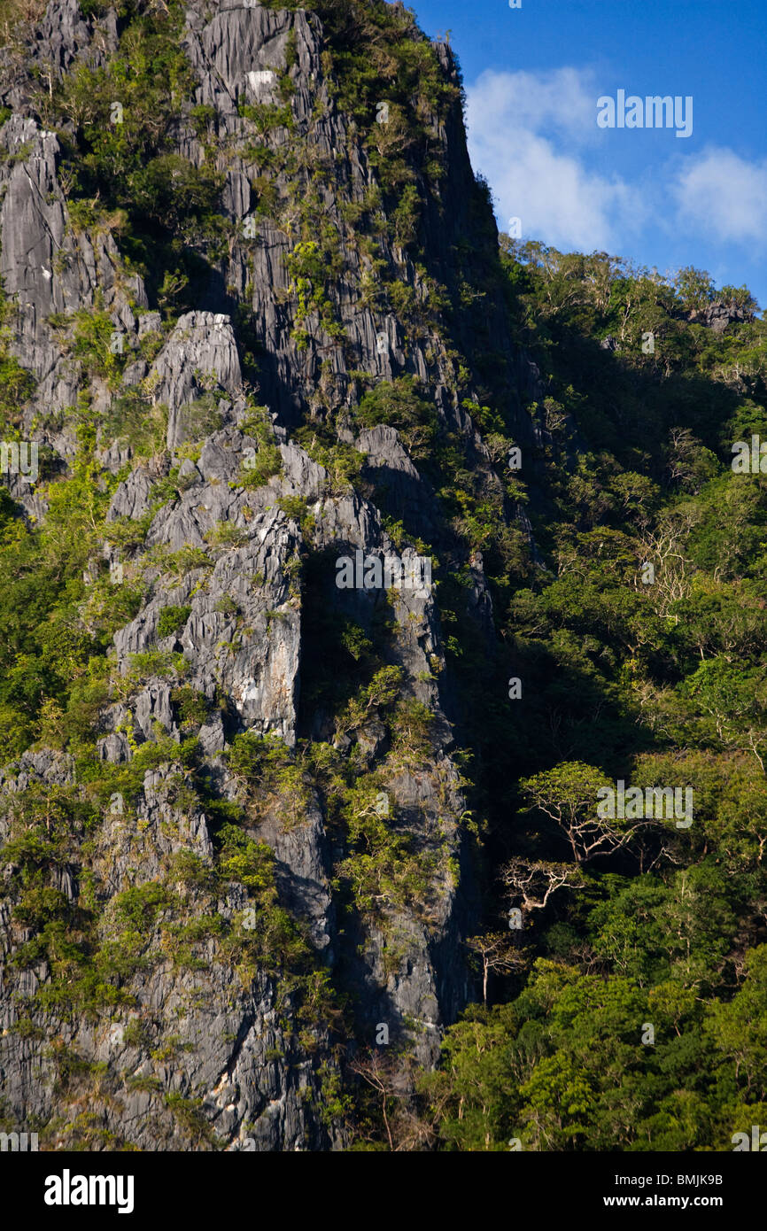 Acantilados de piedra caliza y el bosque en una pequeña isla cerca de la isla de BUSUANGA EN EL GRUPO CALAMIAN - Filipinas Foto de stock