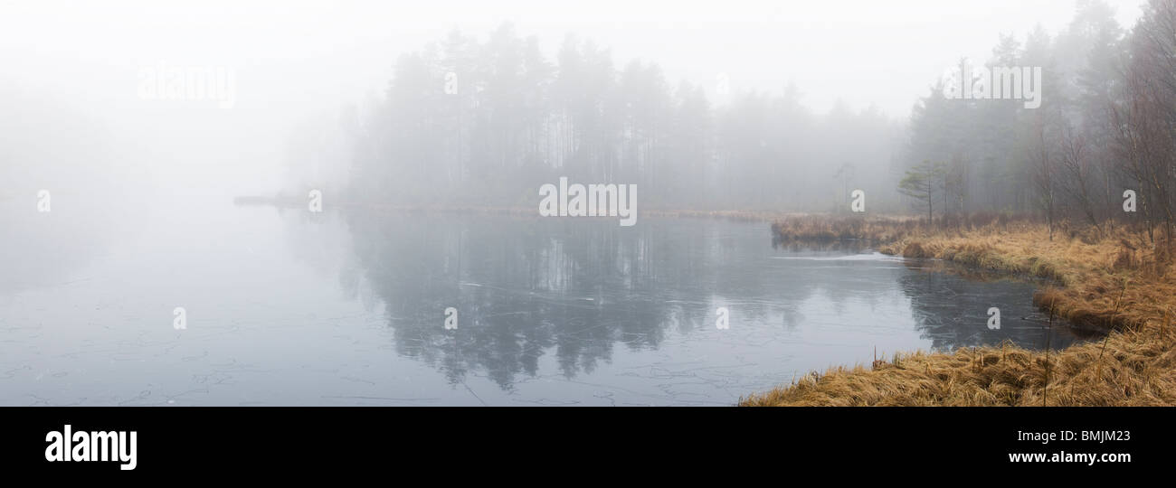 Península Escandinava, Suecia, Skane, Vista de misty lake Foto de stock