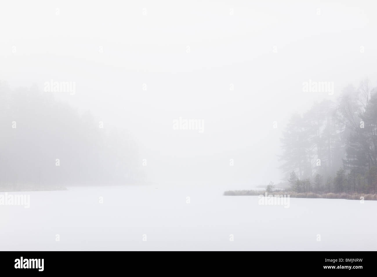 Península Escandinava, Suecia, Skane, Vista de misty lake Foto de stock