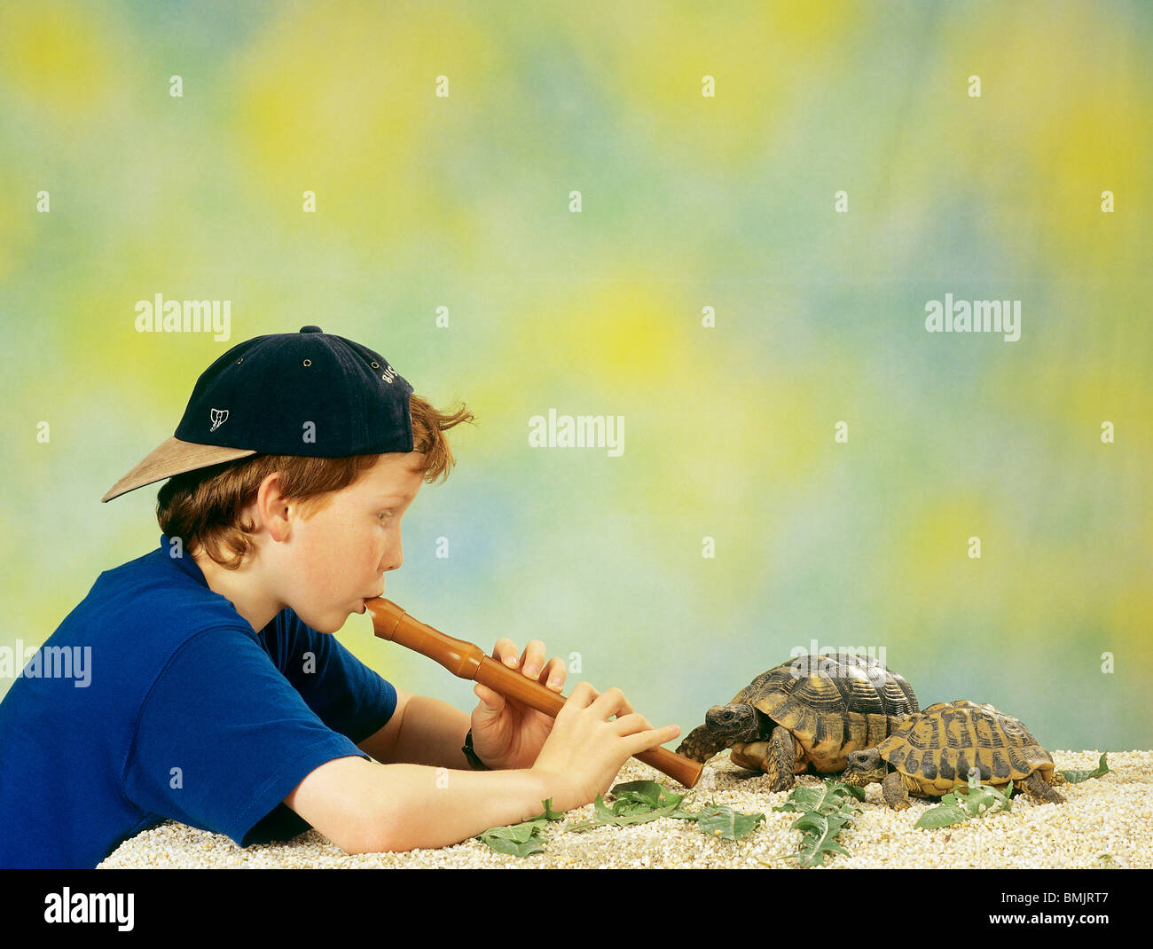 Junge atraen a las tortugas con una flauta Foto de stock