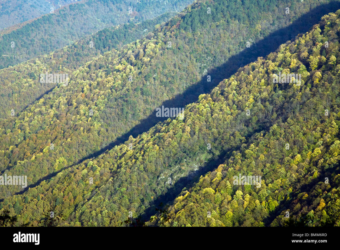 Colores de otoño en bosques Filyos, Zonguldak Turquía Foto de stock