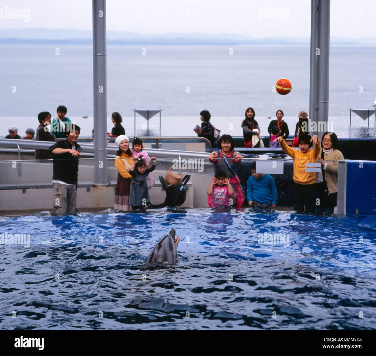 Piscina interactiva con delfines Umitamago Acuario, Oita, Japón Foto de stock