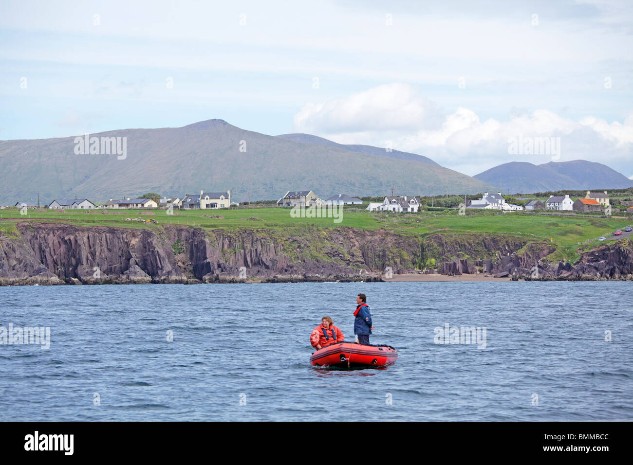 Viaje de delfines en la Bahía de Dingle, la península Dingle, Co. de Kerry, República de Irlanda Foto de stock