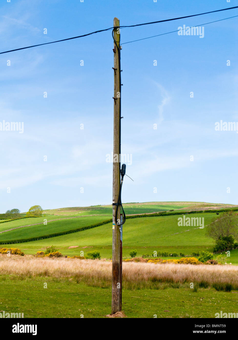 Poste telefónico y alambres en un campo en Inglaterra Foto de stock