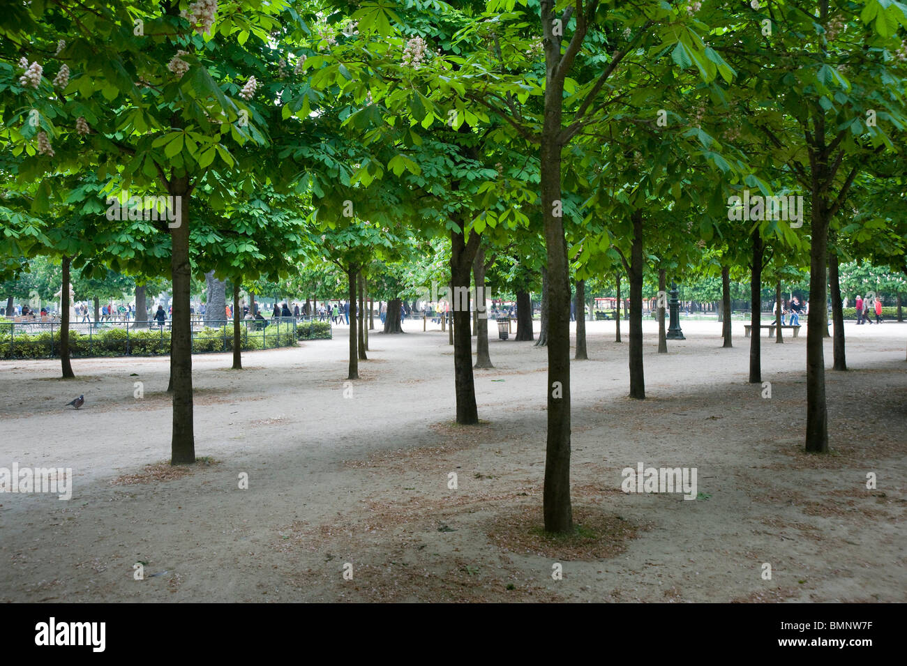 París, Jardin des Tuilleries Foto de stock