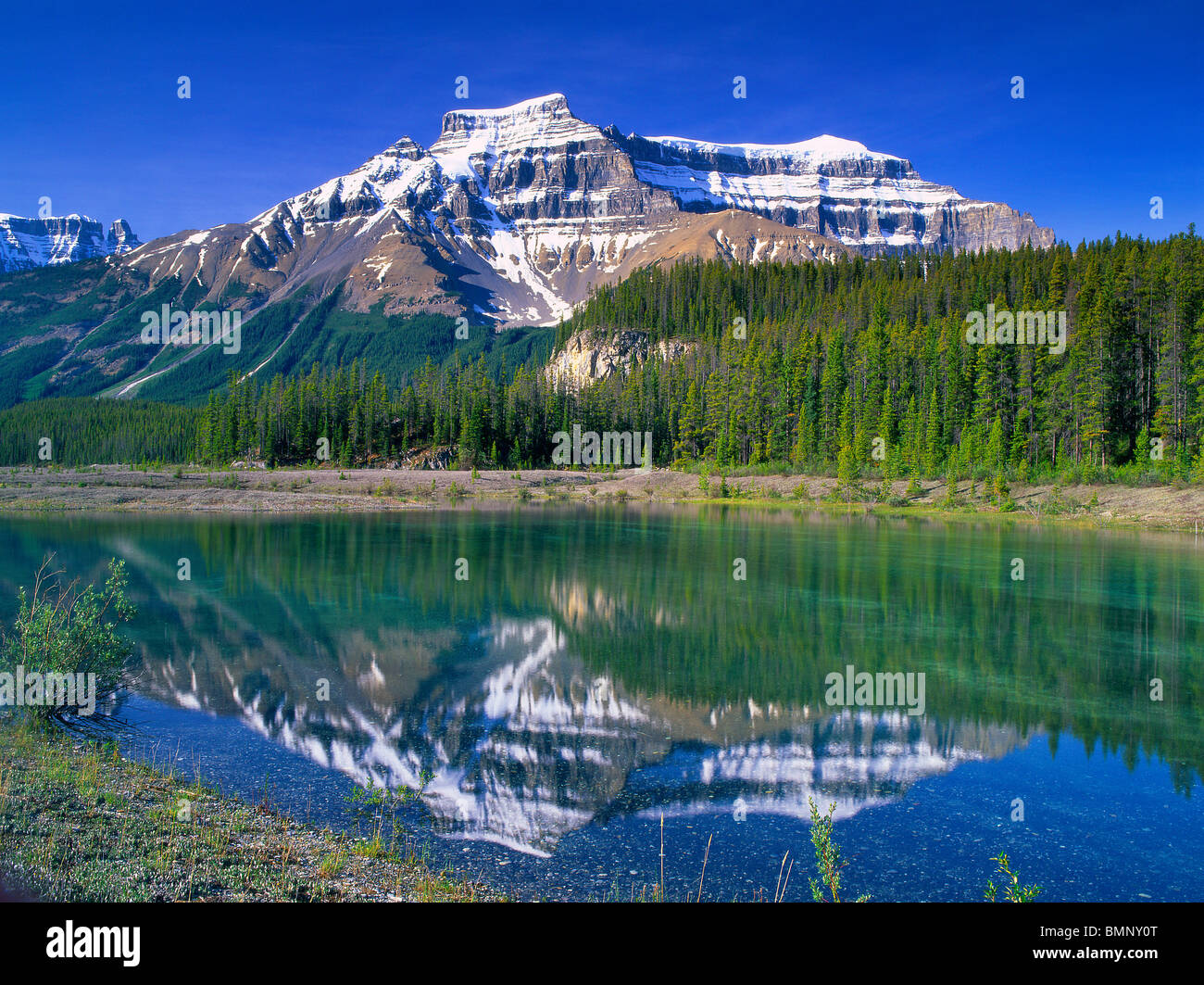 El Parque Nacional Jasper de Alberta, Canadá Foto de stock