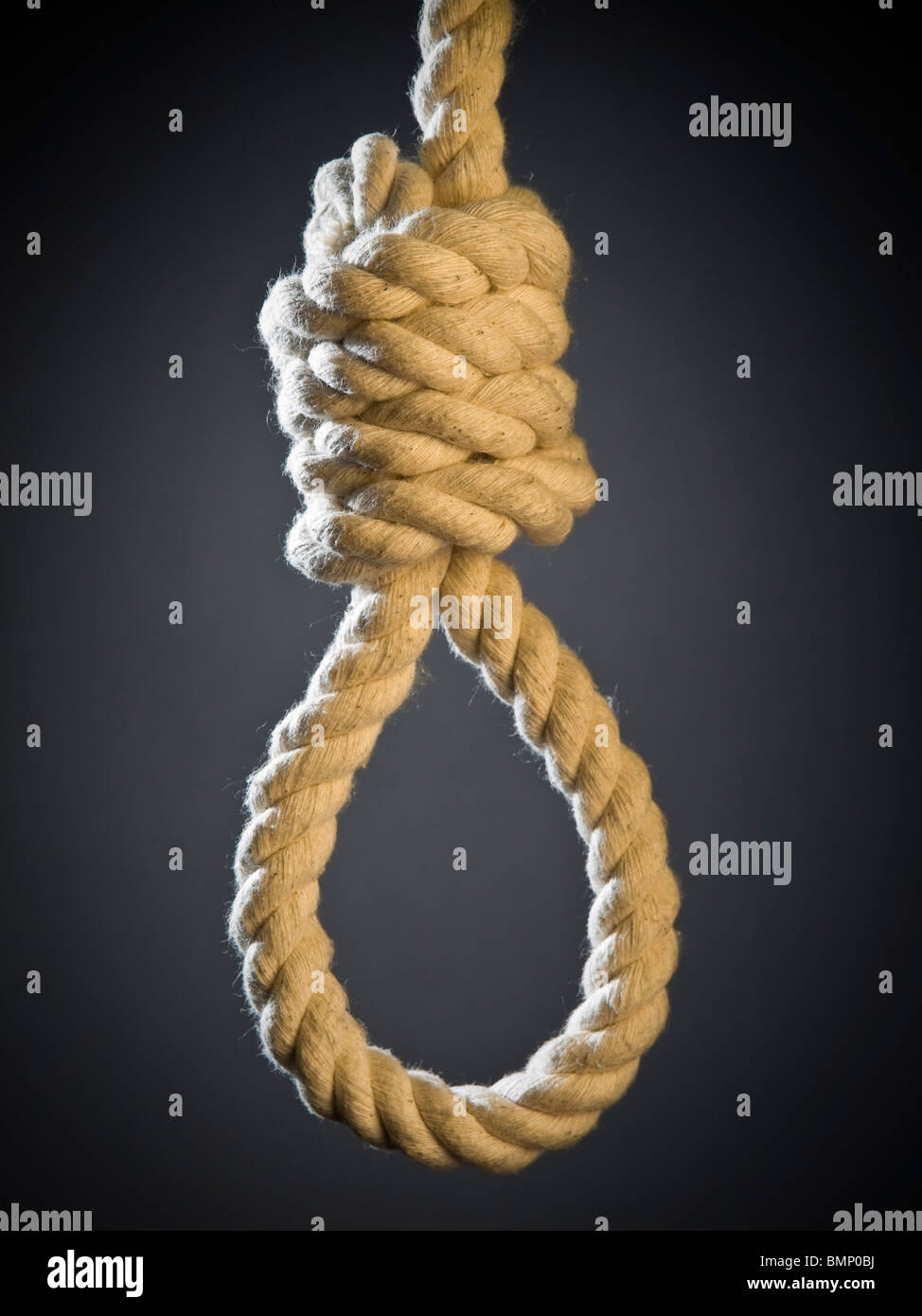 Un hangman's noose sobre un fondo gris. Foto de stock
