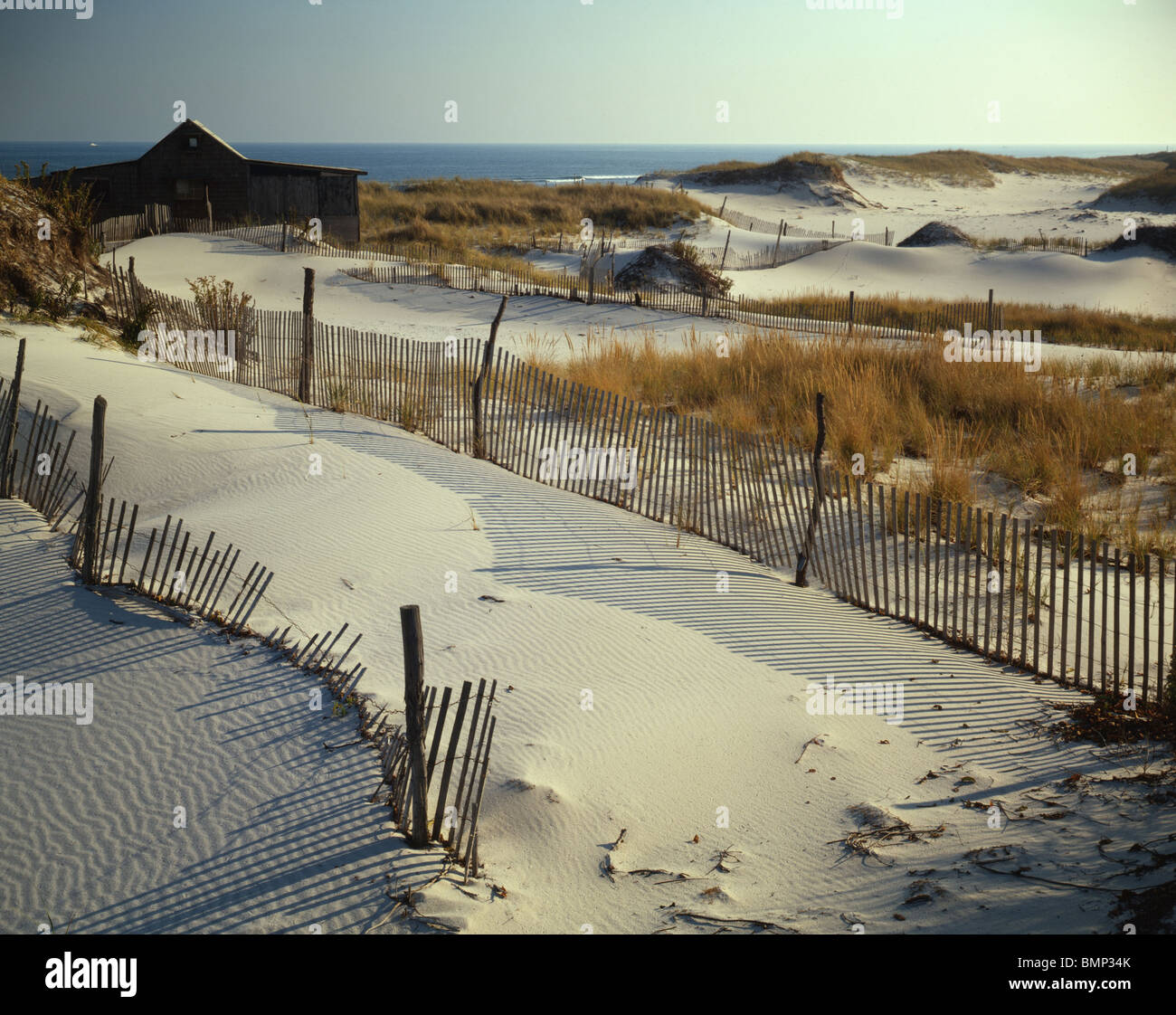 Jersey shore fotografías e imágenes de alta resolución - Alamy