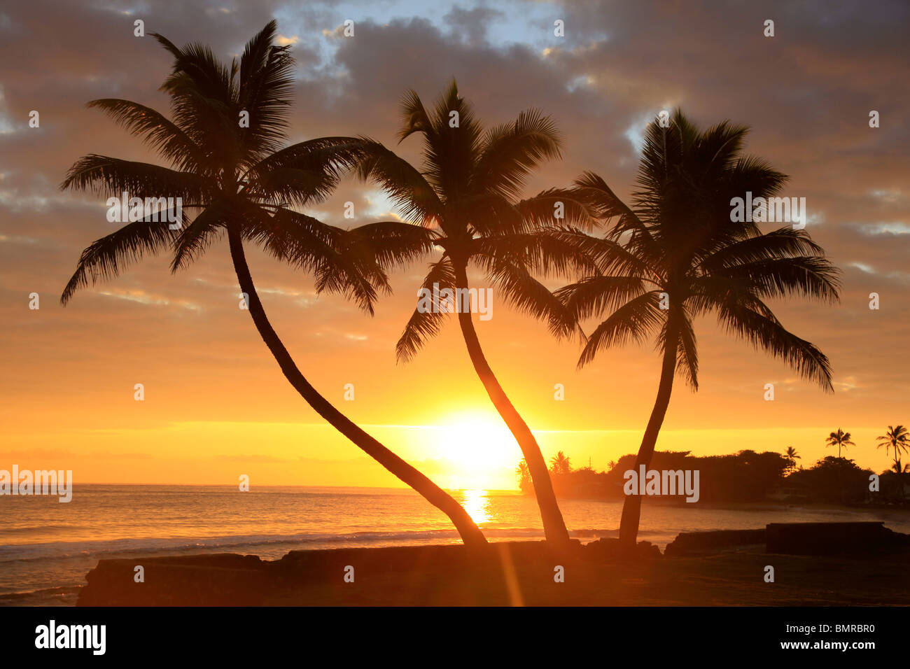 Hawaii punalu tu fotografías e imágenes de alta resolución - Alamy