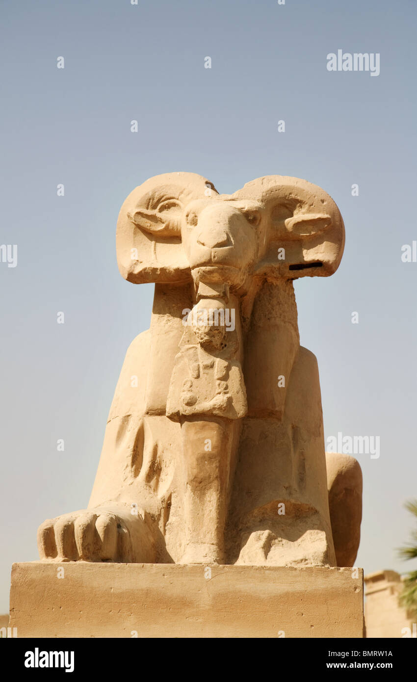 Cerca de una de las estatuas de RAM en la Avenida de carneros; Templo de Karnak, Luxor, Egipto Foto de stock