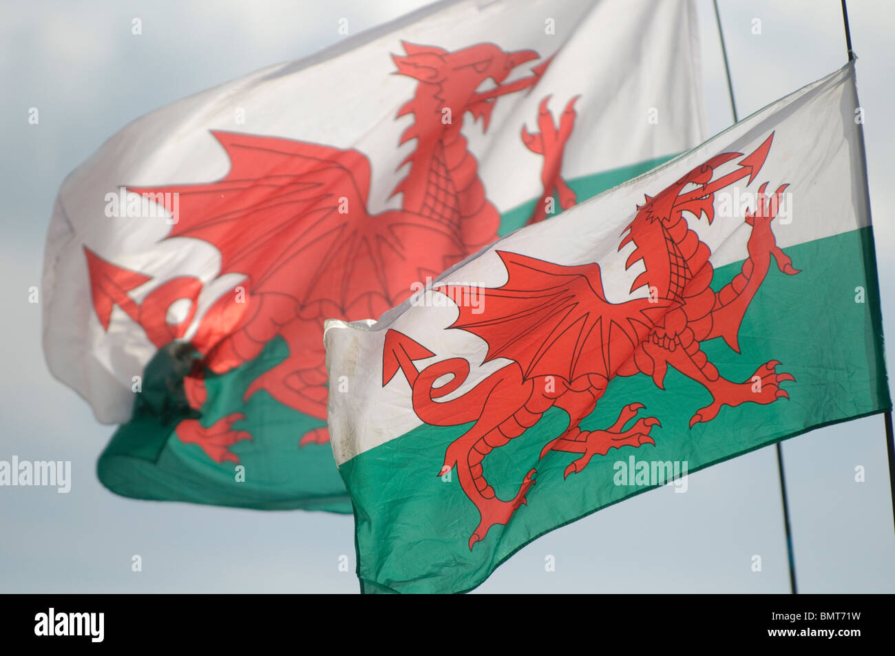 El galés dragón rojo, pancartas, banderas de Gales Foto de stock