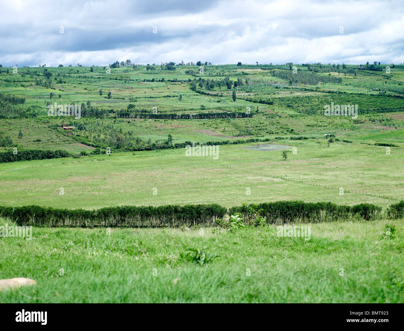 Horizontal, campos verdes en Rwanda después del genocidio Foto de stock