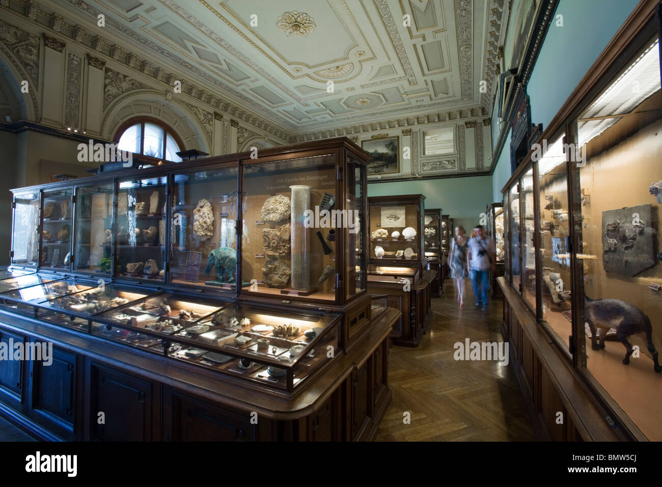 Museo de Historia Natural de Viena, Austria Fotografía de stock Alamy