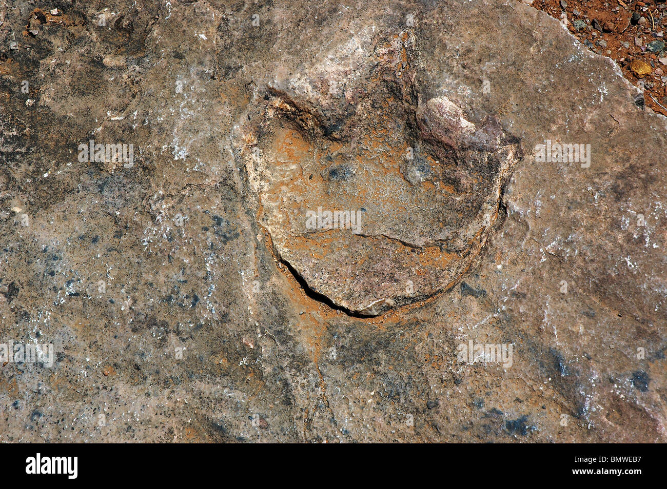 Tres dedos cada período Jurásico pequeña huella de dinosaurio reptil de 180 millones de años en el país Navajo Betatakin ruina Foto de stock