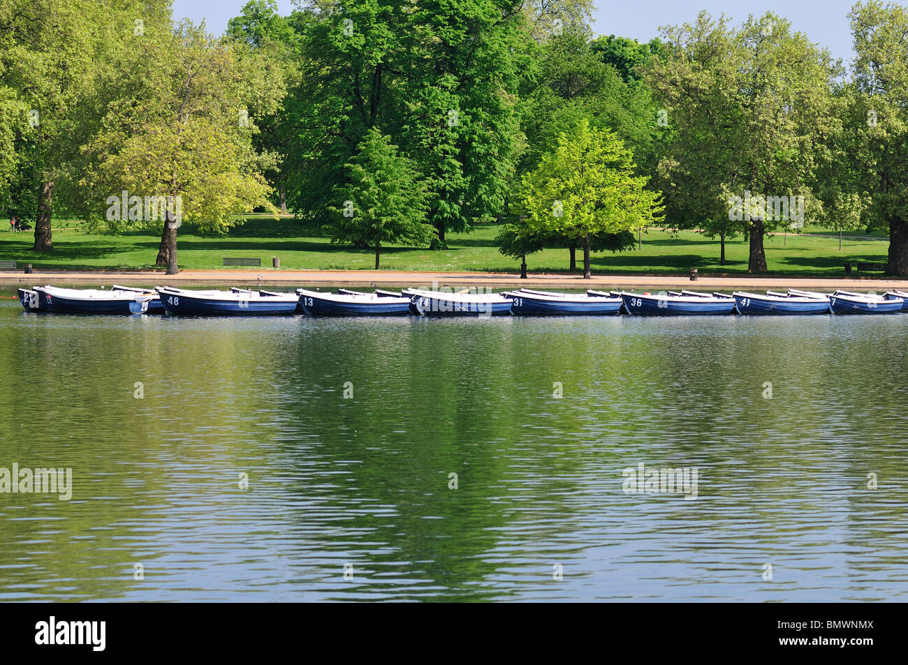 Botes a remo, serpentina, Hyde Park, Londres, Reino Unido. Foto de stock