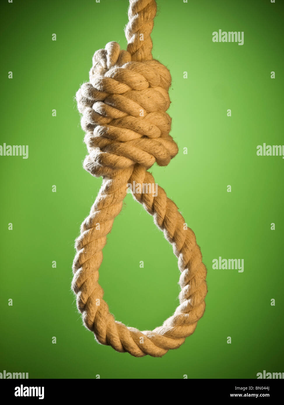 Un hangman's noose sobre un fondo verde. Foto de stock