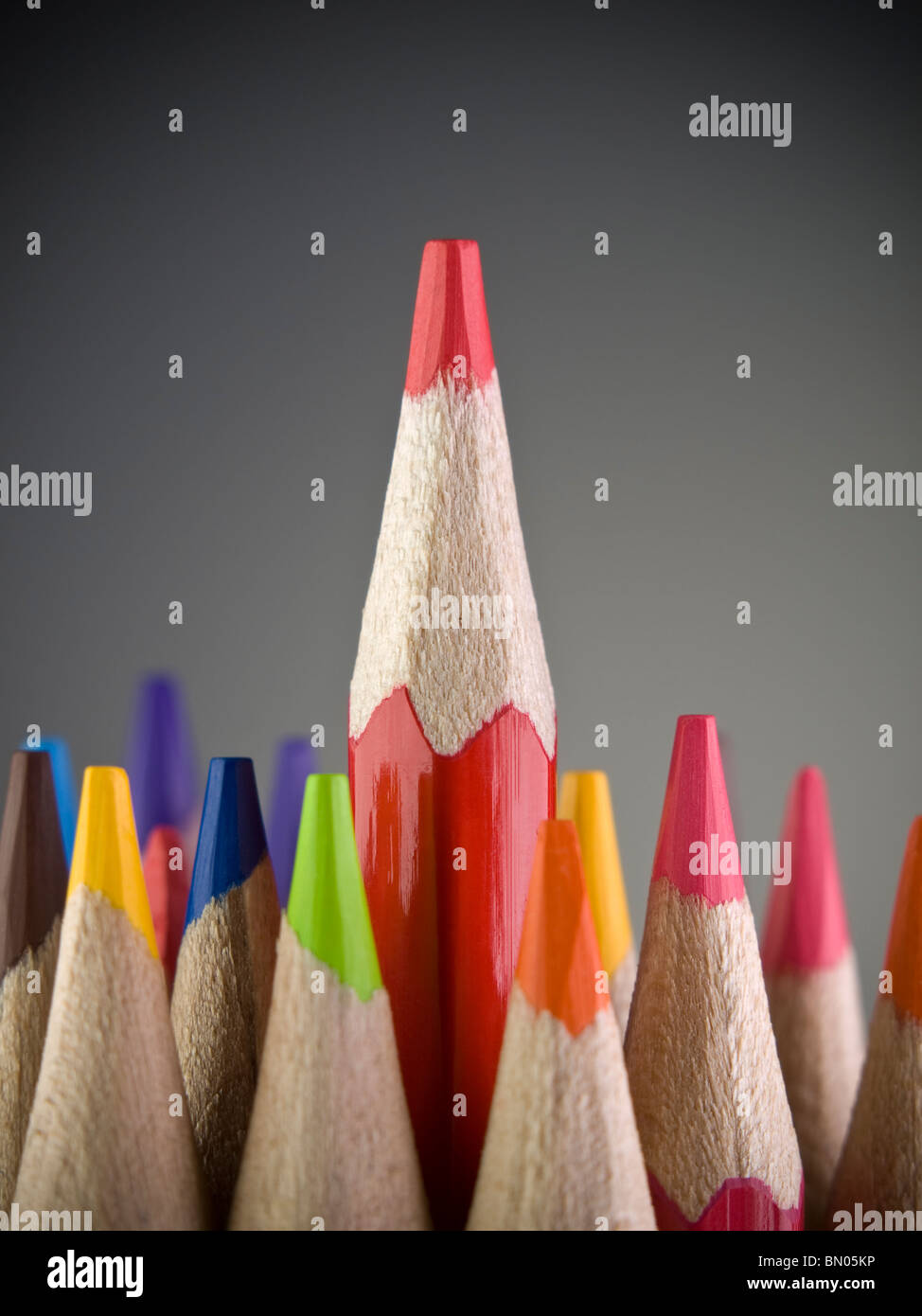 Lápiz rojo que sale entre muchos lápices de colores. Foto de stock