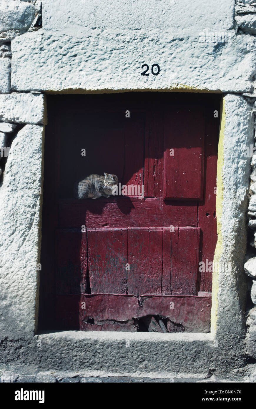 Una cresta en una puerta de madera enmarcadas de granito en Portugal de Trás-os-Montes admite el gato de la familia Foto de stock