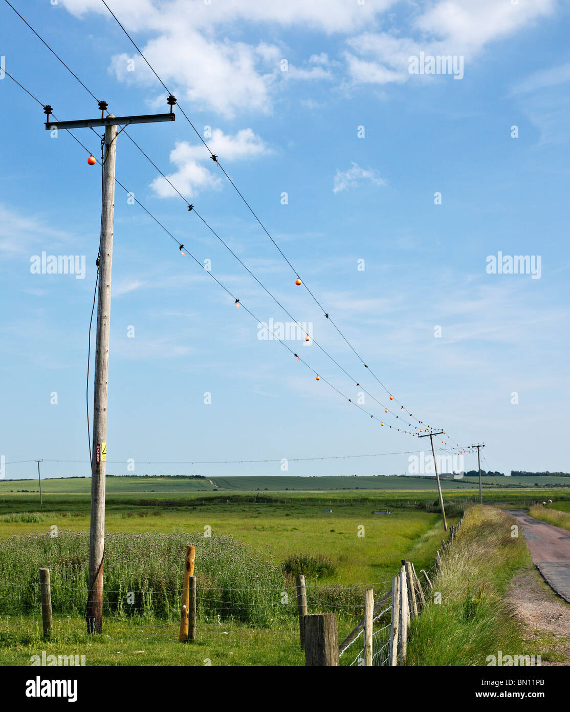 Los cables eléctricos con desviadores de vuelo de aves, para evitar que las aves migratorias ser electrocutado. Foto de stock