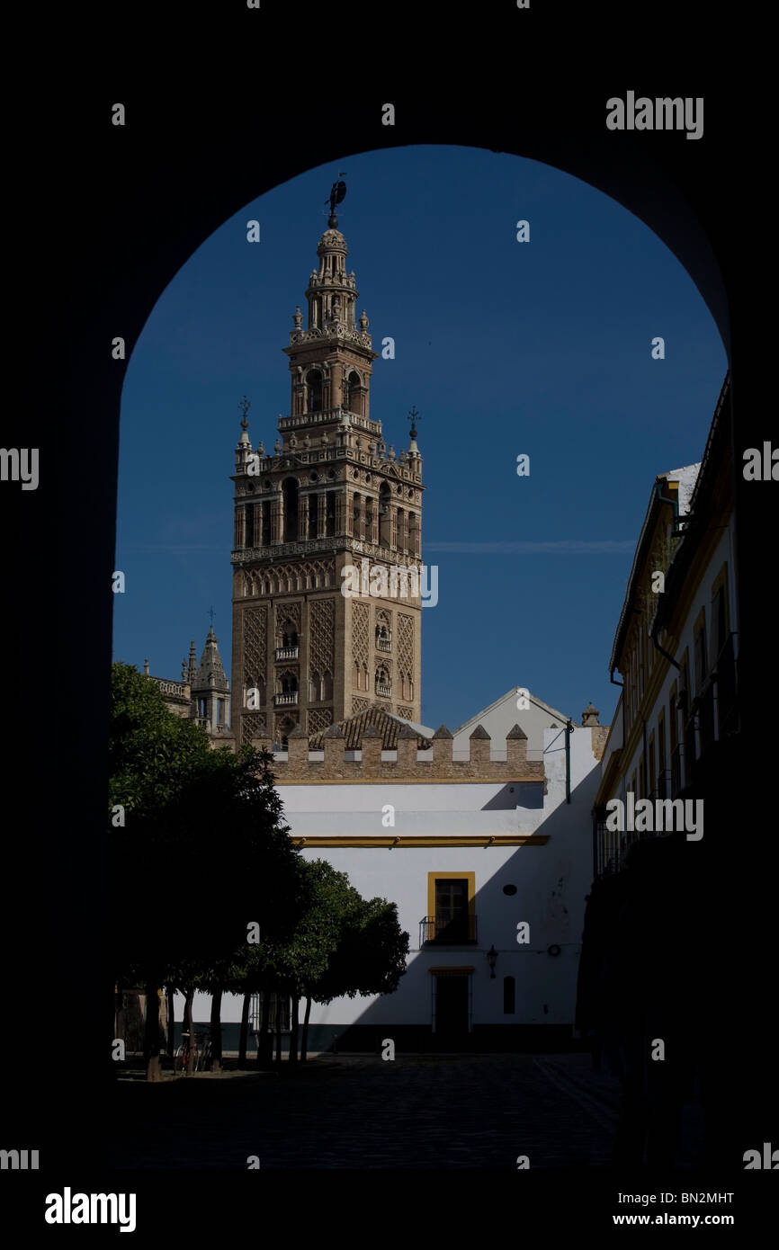 El campanario de la Catedral de Sevilla, conocido como la Giralda, Sevilla, Andalucía, España Foto de stock