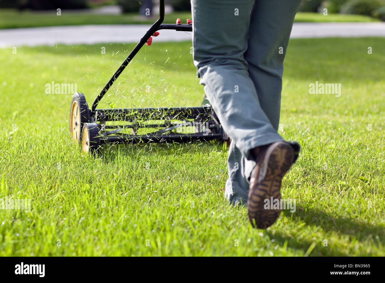 Cortar la hierba con un cortacésped respetuosos con el medio ambiente. Foto de stock