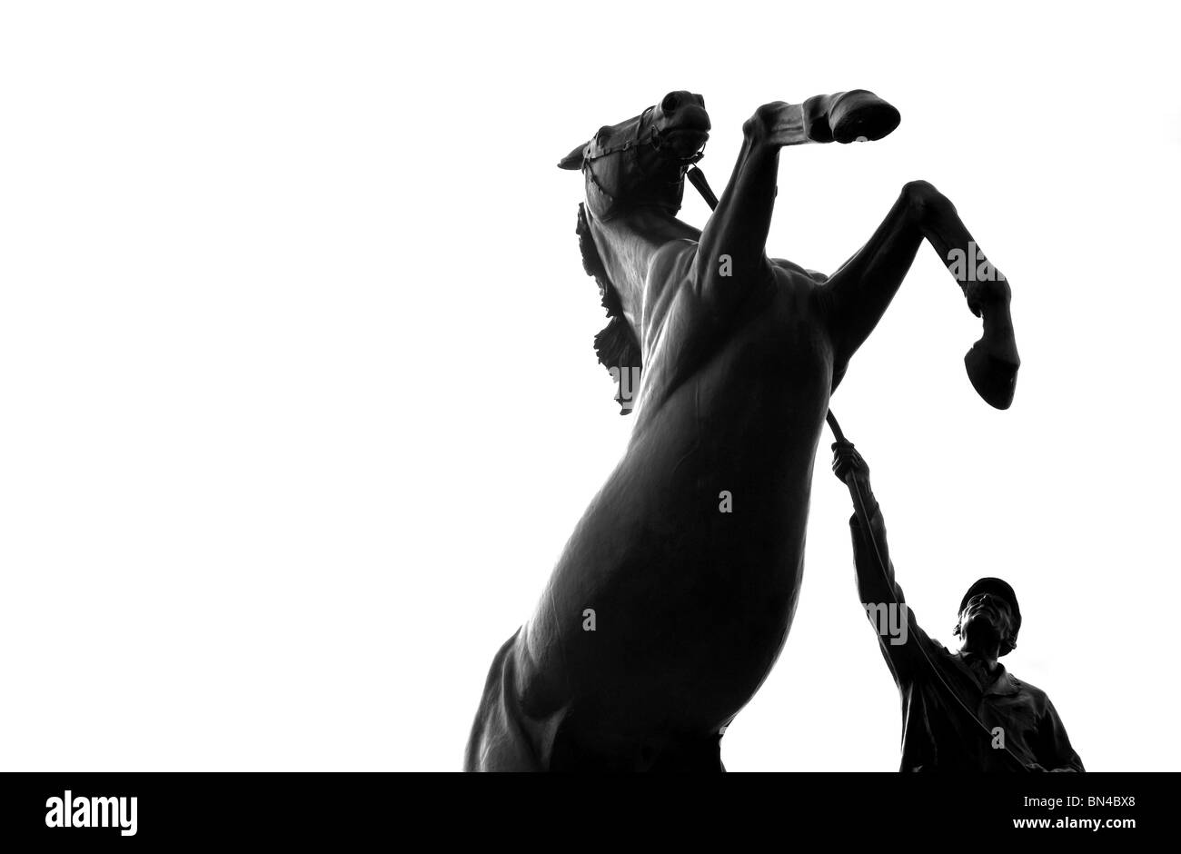 Una estatua de un caballo negro parado en las patas traseras, levantándose con su manejador llevando las riendas. Foto de Matt Kirwan. Foto de stock