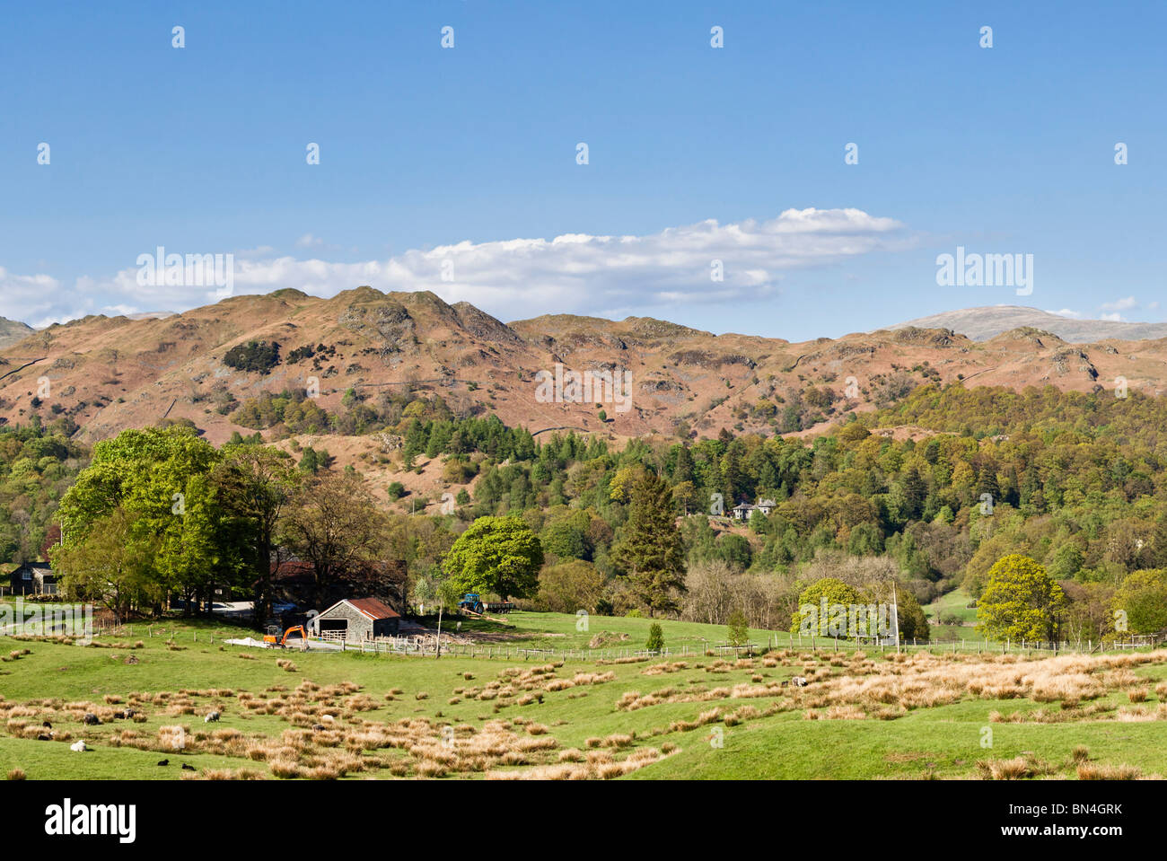 Lake District, Cumbria - Granero y las tierras agrícolas bajo las colinas cerca de Coniston Foto de stock