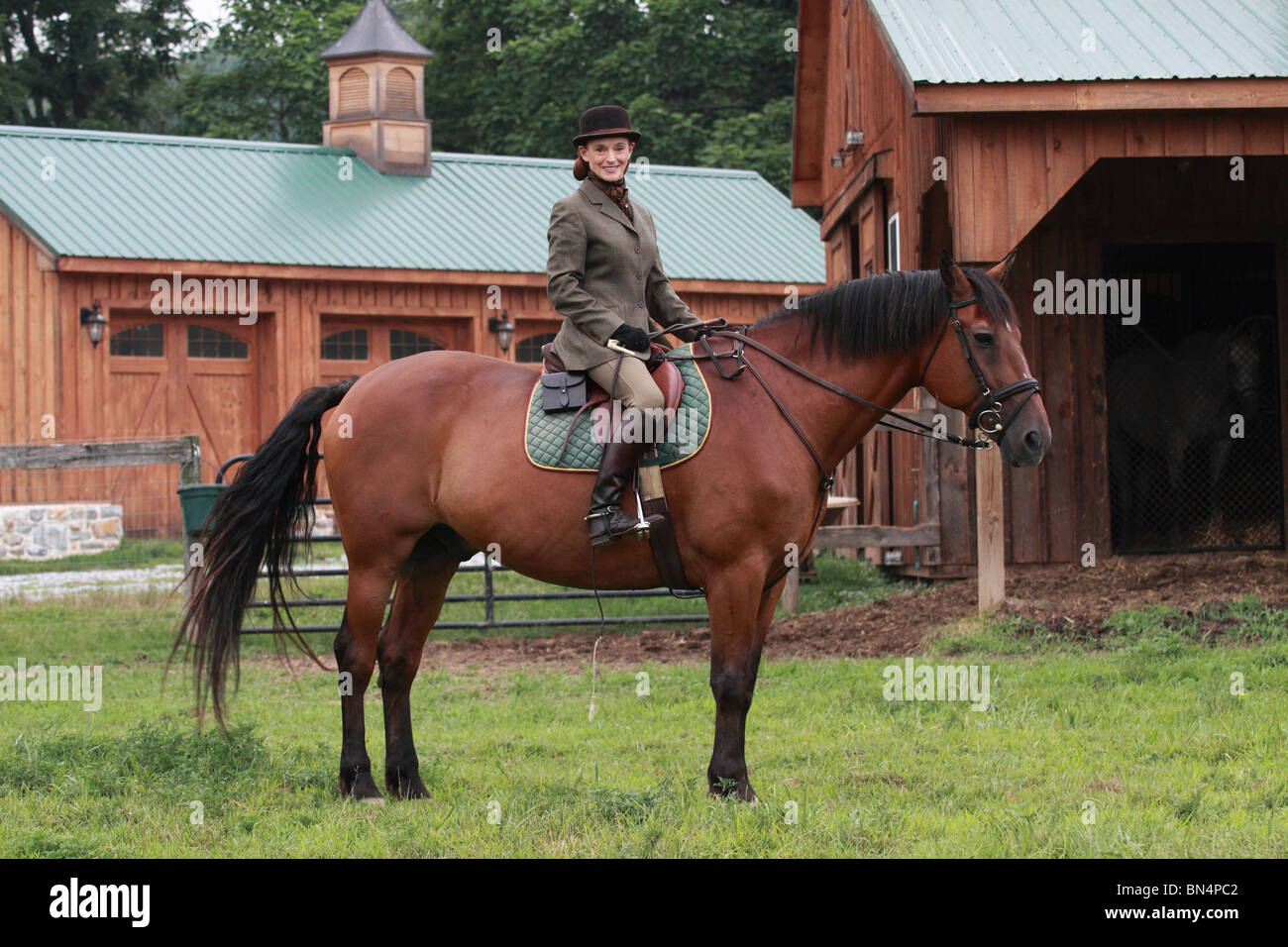 Señora mujer a caballo vestida para cazar en rat catcher outfit Fotografía  de stock - Alamy