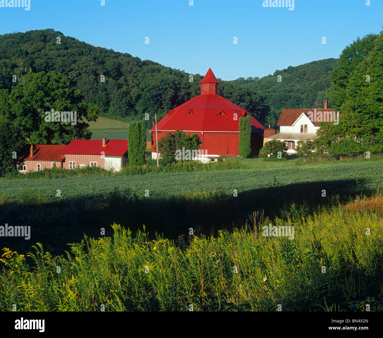 Pipino County, Wisconsin granja con granero rojo octogonal bajo una ladera boscosa Foto de stock