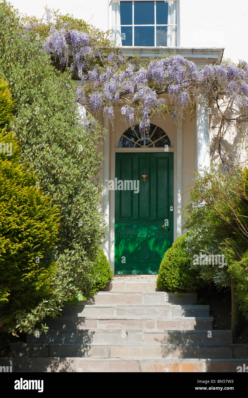 Glicina (Wisteria floribunda) floración escalador drapear sobre la puerta de una casa georgiana Foto de stock