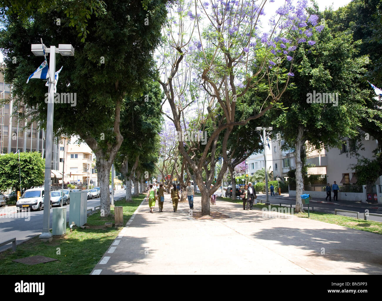Rothschild Boulevard / Avenue en Tel Aviv - Israel Fotografía de stock -  Alamy
