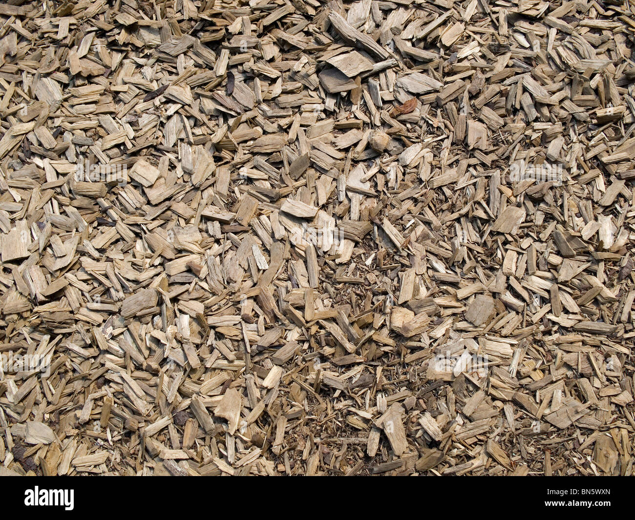 Astillas de madera y corteza cubierta de tierra Foto de stock