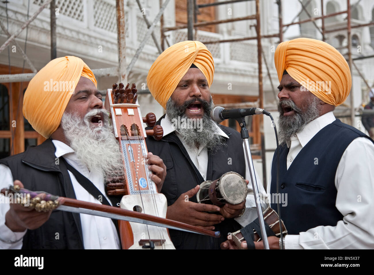 Los hombres Sikh reproduciendo música. El Templo de Oro. Amritsar. La India Foto de stock